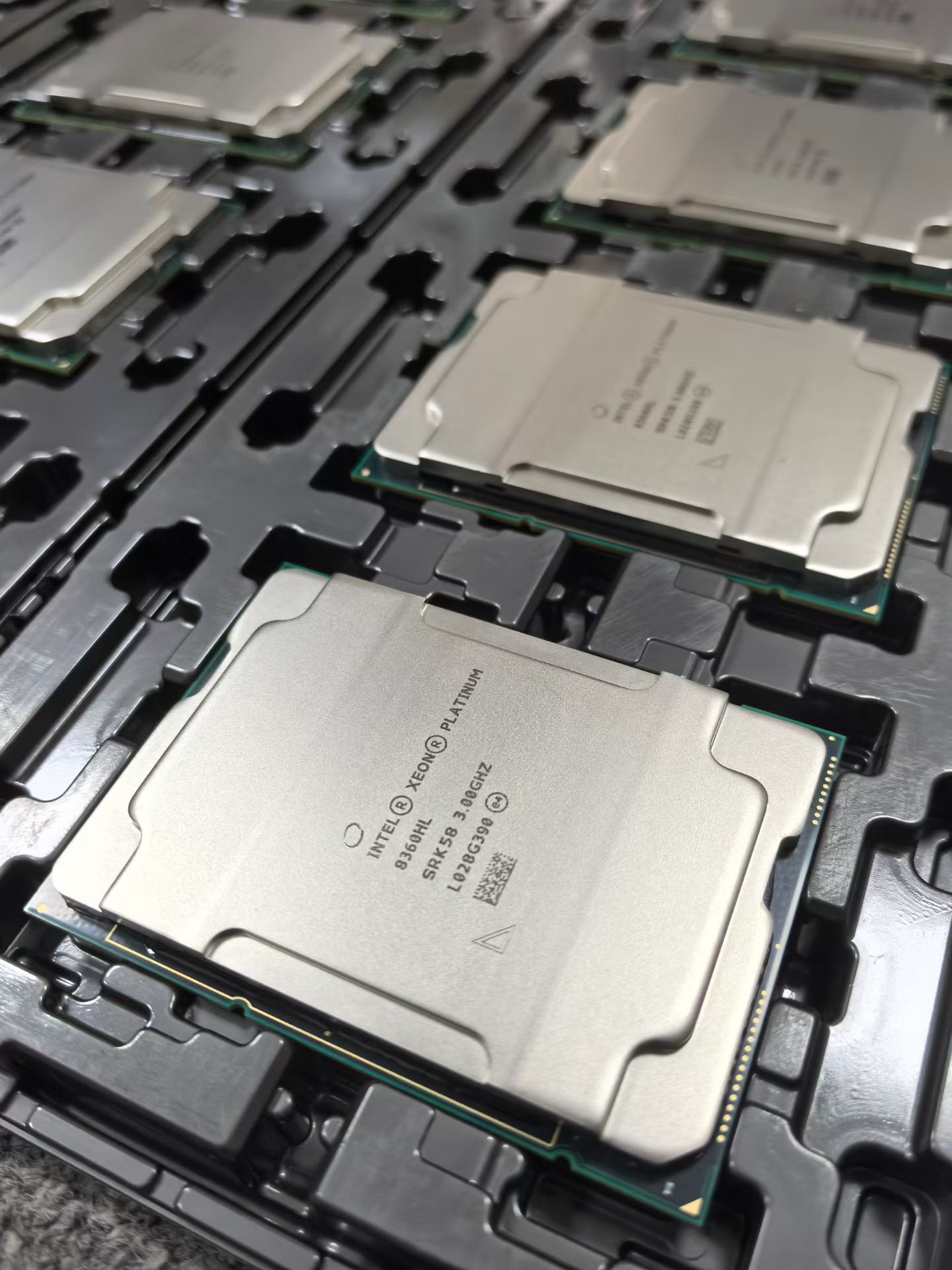 Close view of Intel Xeon server CPUs prepared for inspection