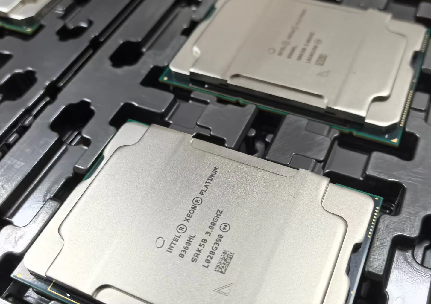 Intel Xeon server CPUs arranged in protective trays for inspection